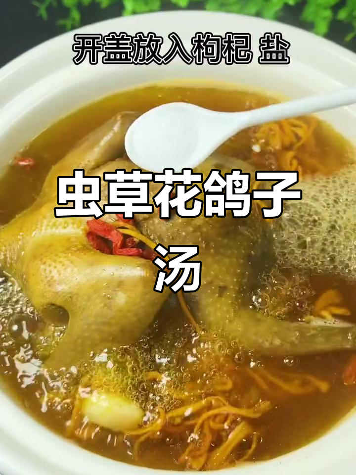 虫草花鸽子汤,滋补美容,男人女人都适合