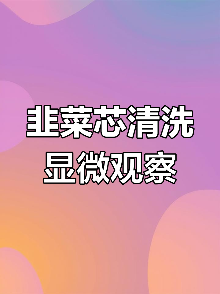 韭菜芯清洗显微镜对比,物易净与普通起泡器的差别