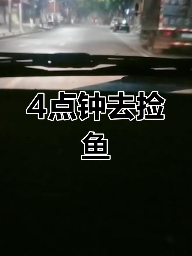 从扶绥到南宁大沙田,捡死鱼的早晨