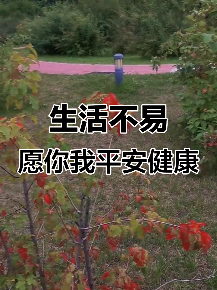 每个人都在努力生活,愿你我都被岁月温柔以待