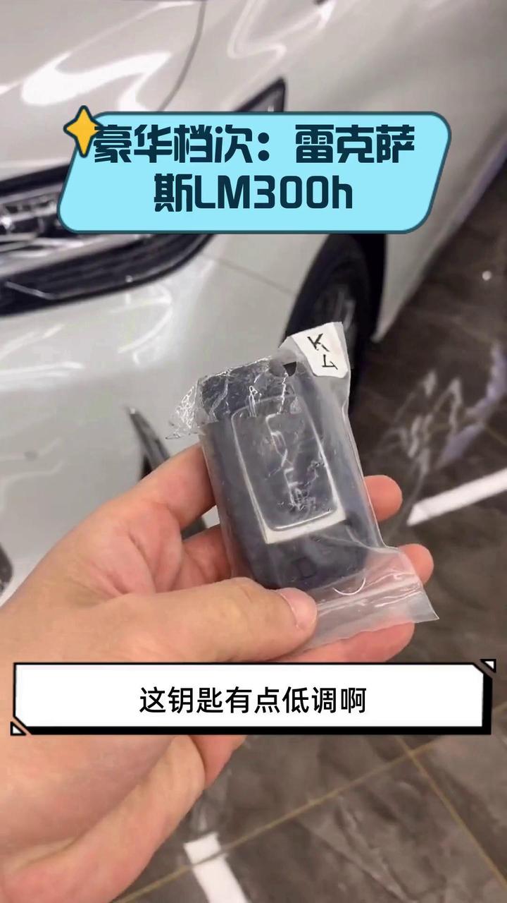 豪华档次:雷克萨斯LM300h