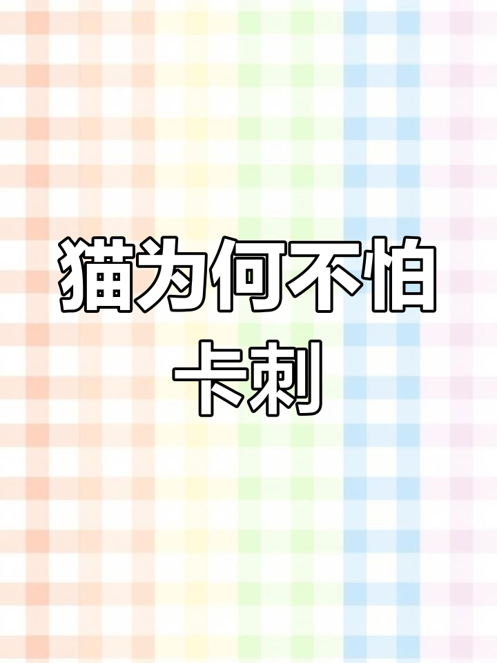 猫咪吃鱼不怕刺,揭秘其独特生理结构