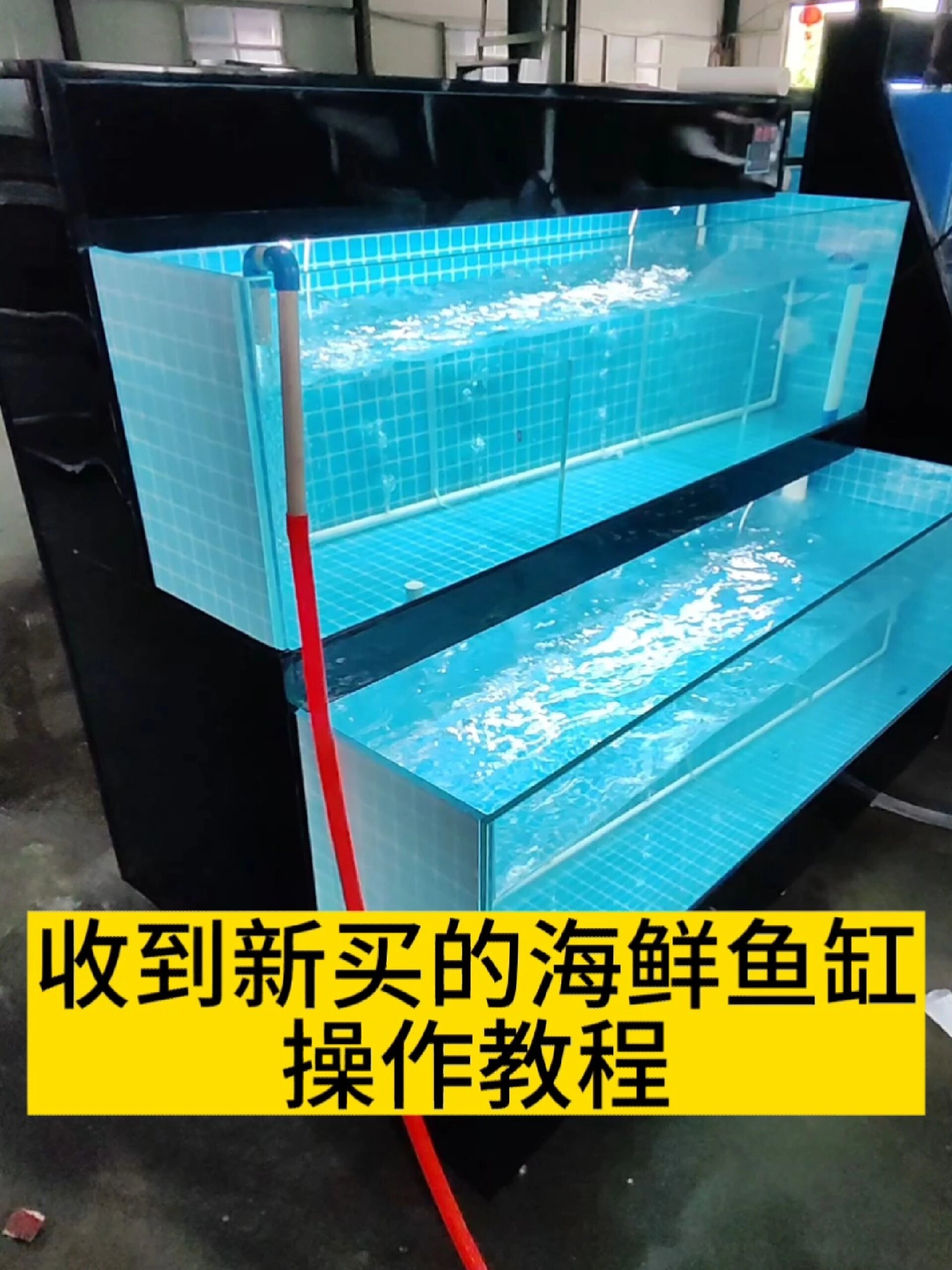 新买的海鲜鱼缸操作流程,海鲜池操作教程