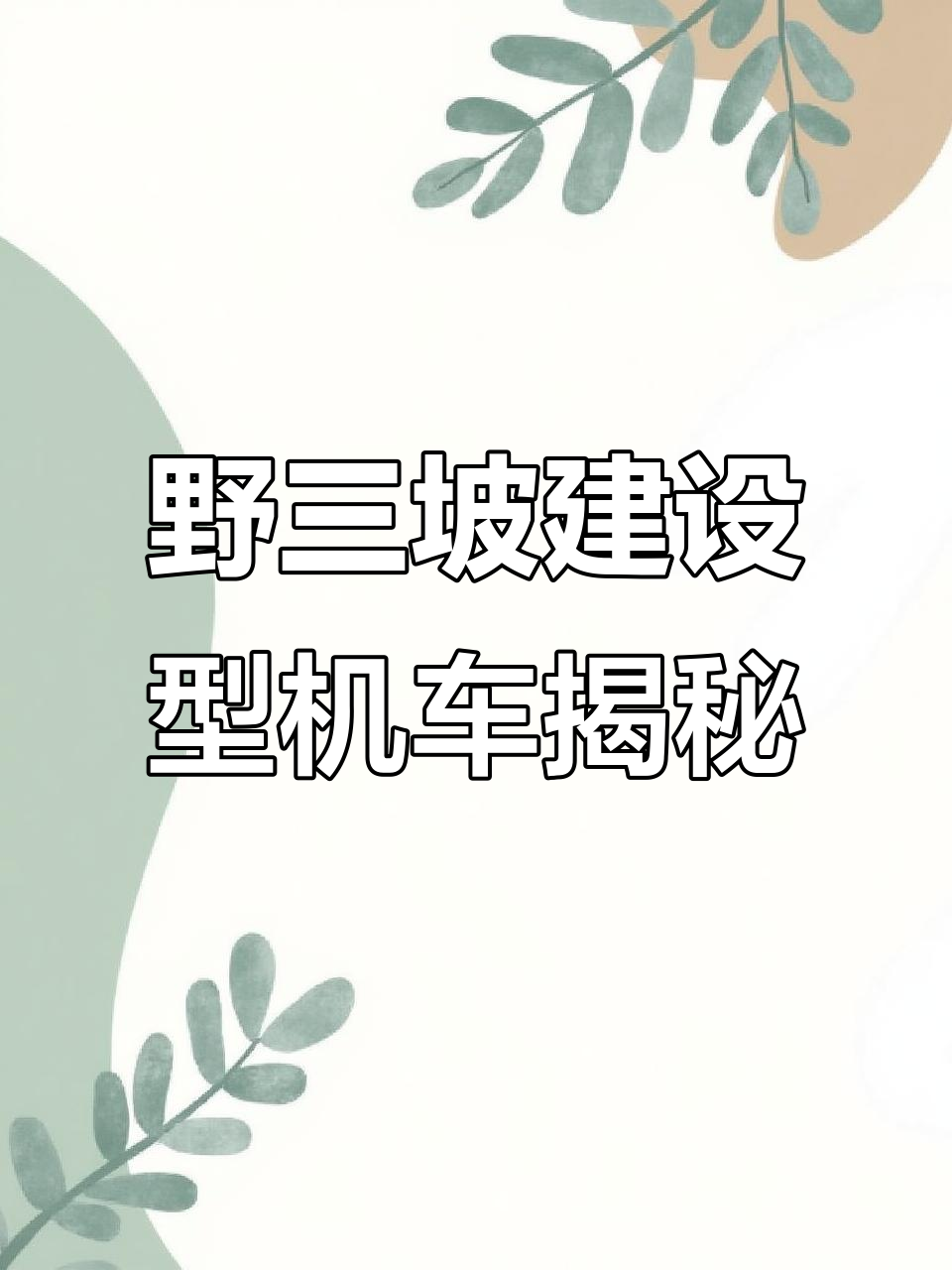 探访野三坡建设型蒸汽机车，了解B型车结构与保存现状