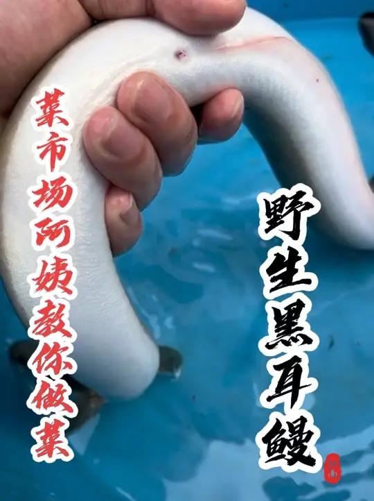 同学们，这个鳗鱼是野生的吗？我这一斤130贵不贵呢？