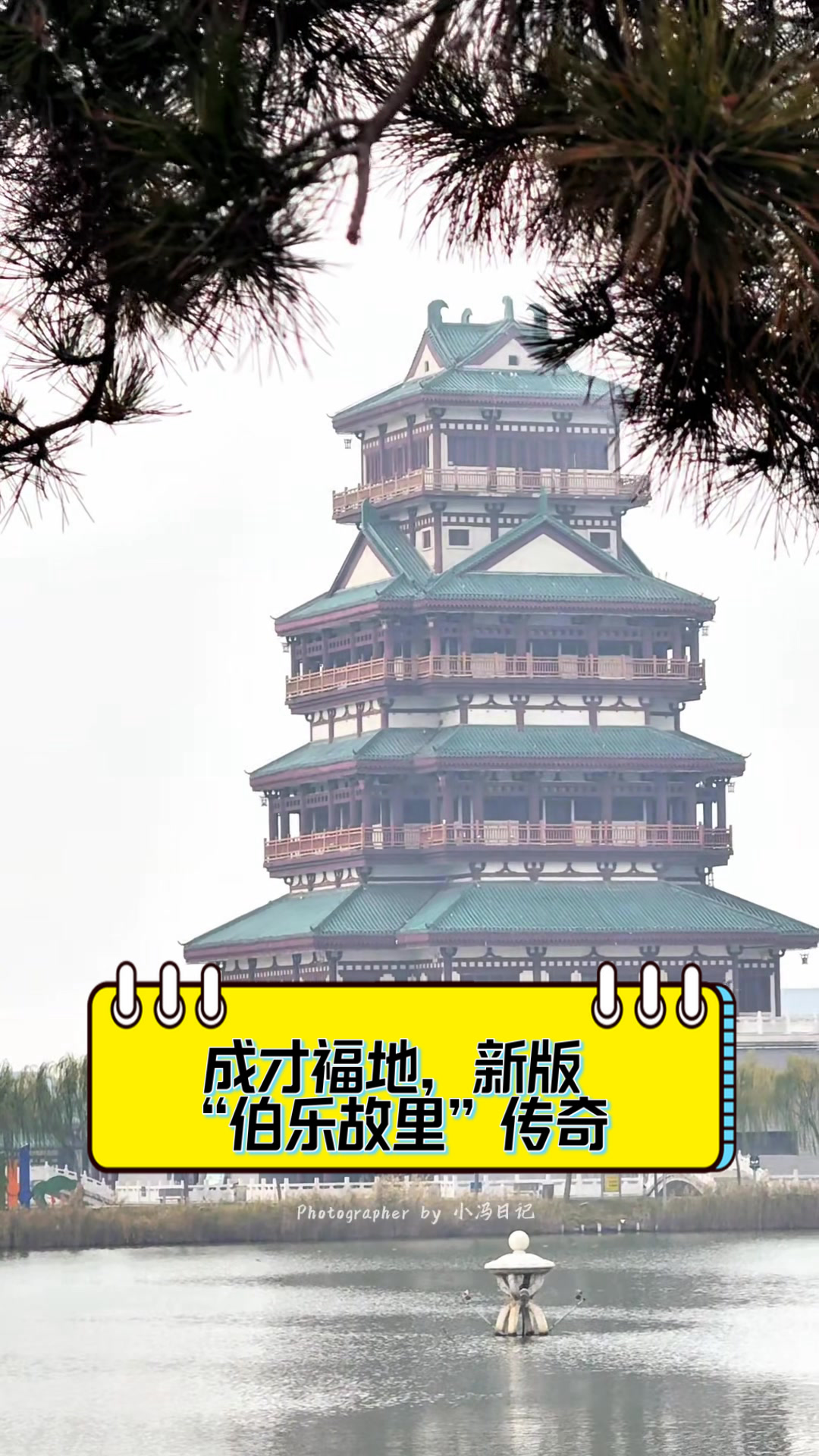 成才福地,新版“伯乐故里”传奇