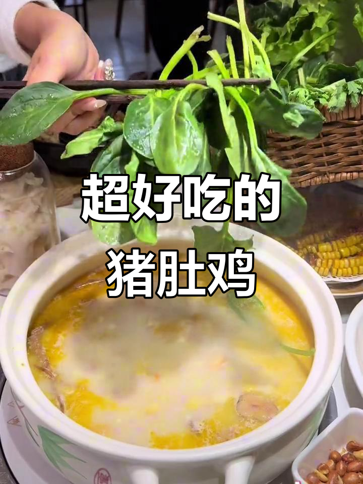 广东猪肚鸡新升级,鲜香四溢!