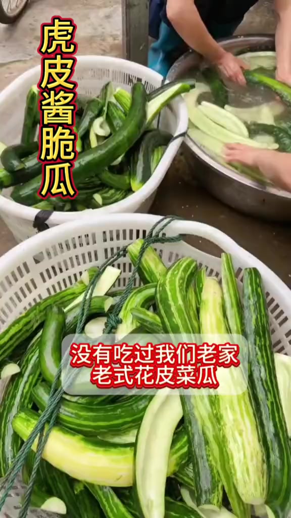 虎皮脆瓜安徽新腌的酱菜瓜真好吃
