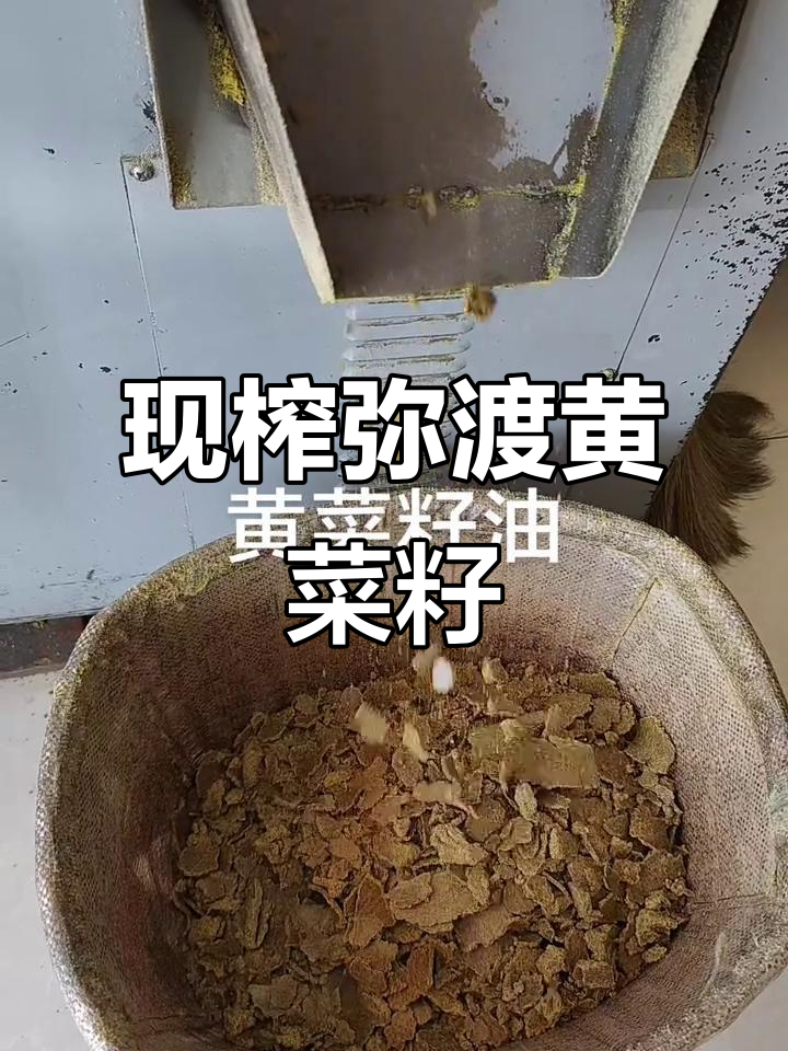 弥渡黄菜籽油，香气扑鼻，现榨体验超值