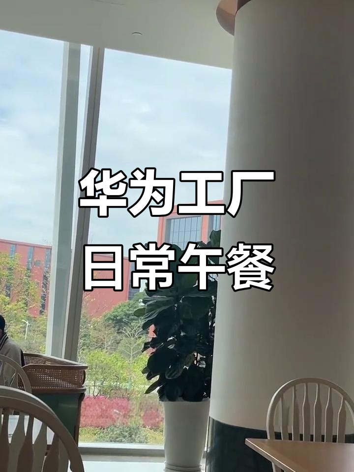 华为工厂女孩的真实午餐,边吃边看风景