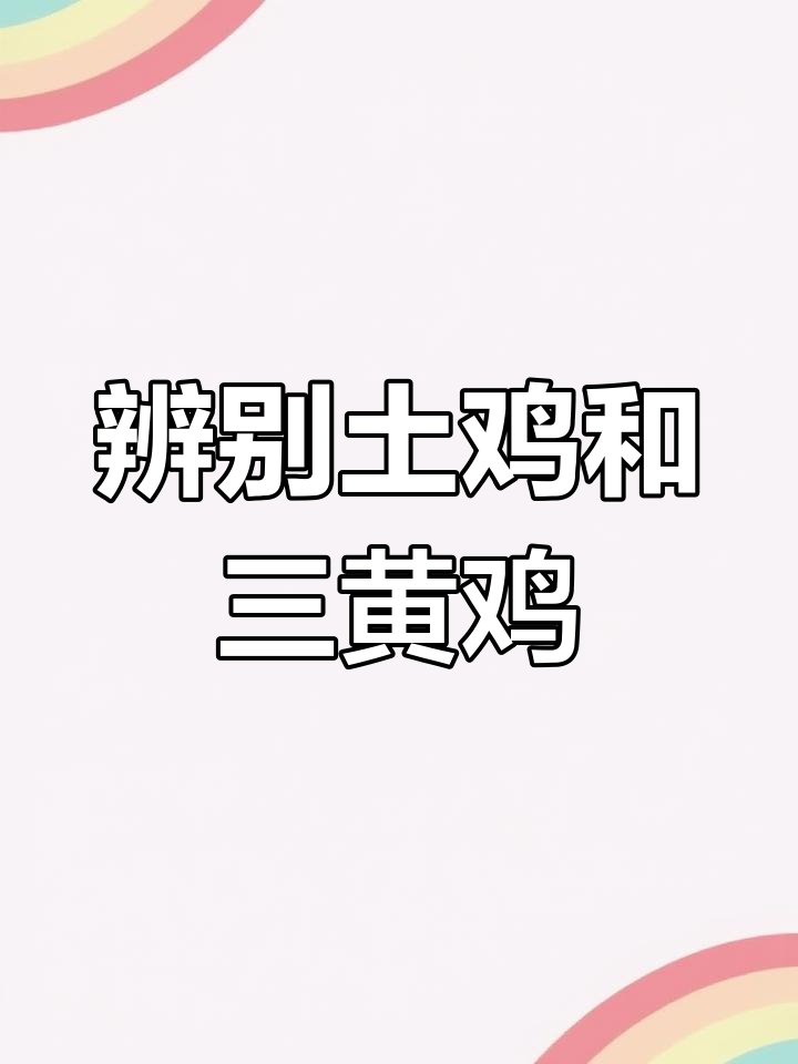 如何区分土鸡与三黄鸡?看这两处差异