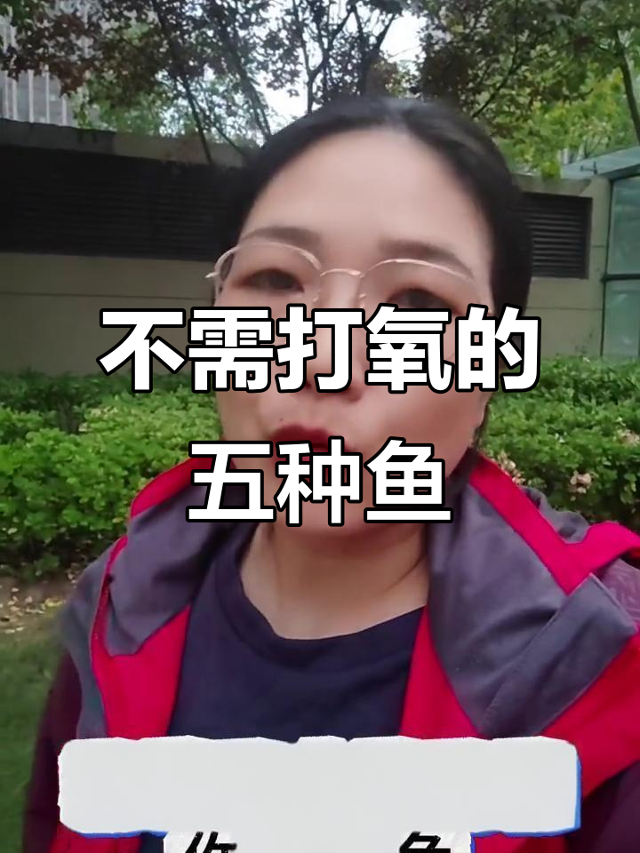 5种不需要打氧的观赏鱼，轻松养活又省心