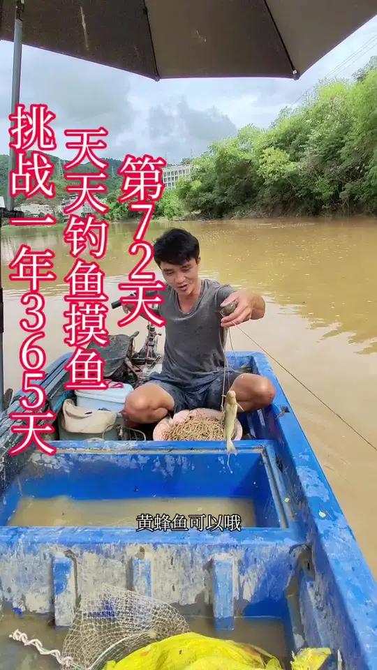 挑战一年365天,天天钓鱼摸鱼,第72天钓鱼真实生活分享计划我的乡村生活 查看此钓点钓点王