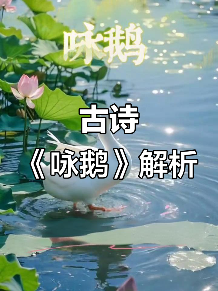一年级古诗《咏鹅》朗读与翻译,必背经典