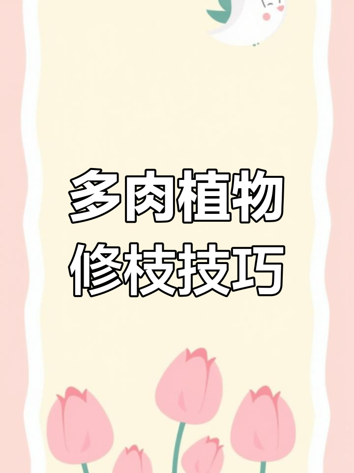 如何修剪多肉植物,让它更健康?