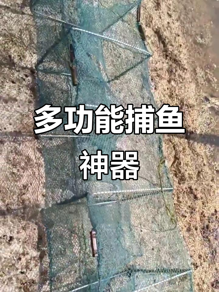 19节虾鱼网,轻松捕获多种淡水生物