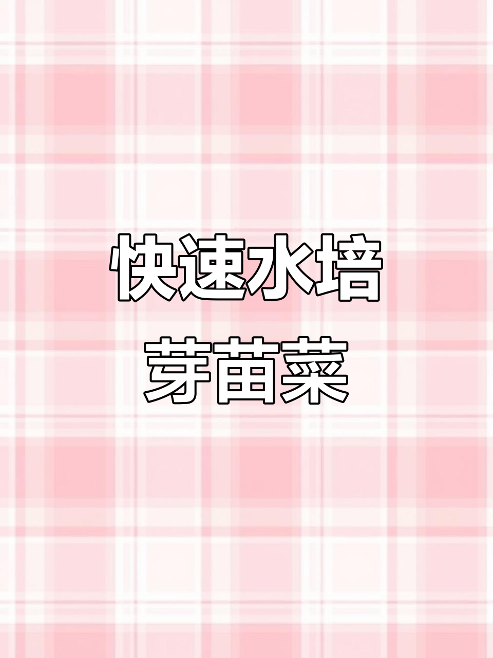 水培芽苗菜，70多种蔬菜5-7天快速收获，健康又美味