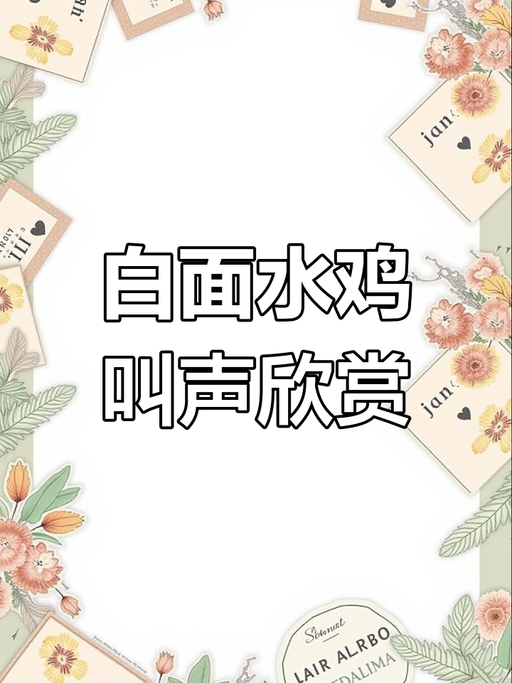 2025白面水鸡叫声大赏,自然界的和谐旋律