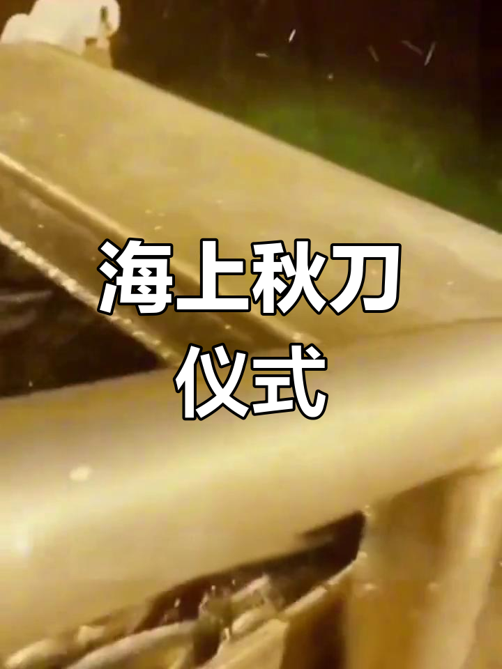 远洋渔船秋刀鱼捕捞实拍