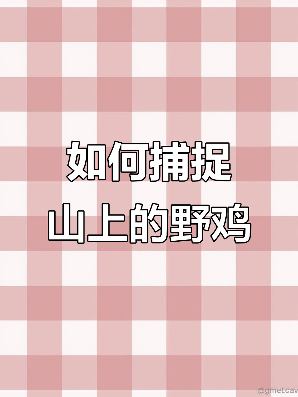山上野鸡怎么抓?这些方法让你轻松搞定