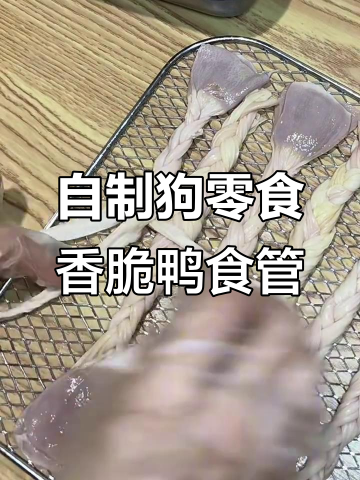 清理鸭食管，自制狗狗辣条烘干管