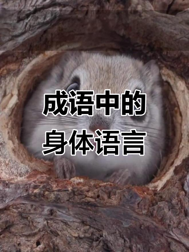 描述身体各部位动作的成语,生动有趣