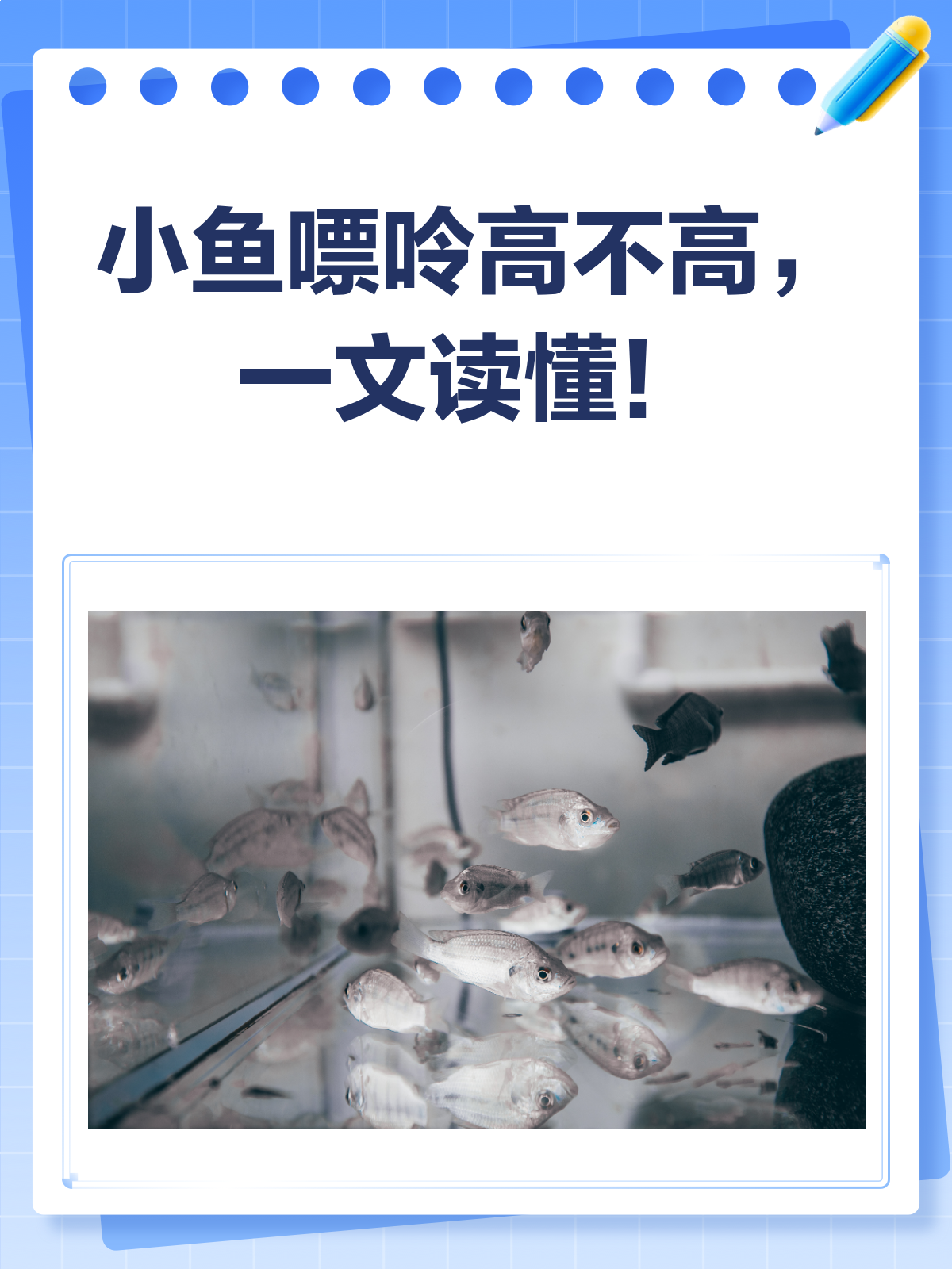 小鱼嘌呤高不高?看完这篇就懂了!