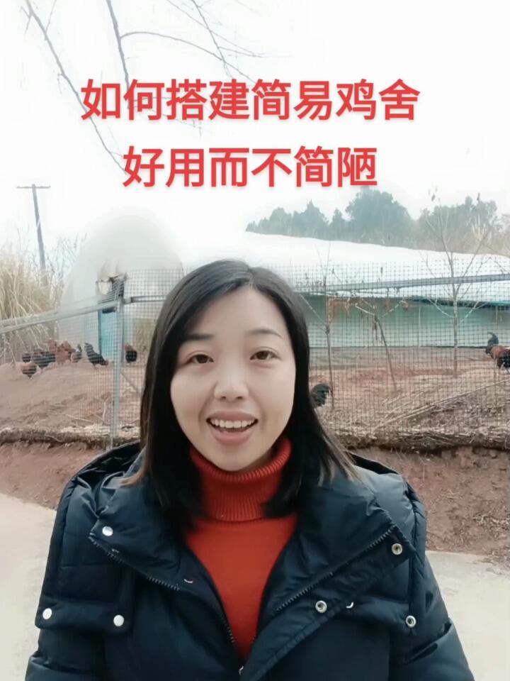 新手养鸡收藏如何搭建简易鸡舍好用又便宜