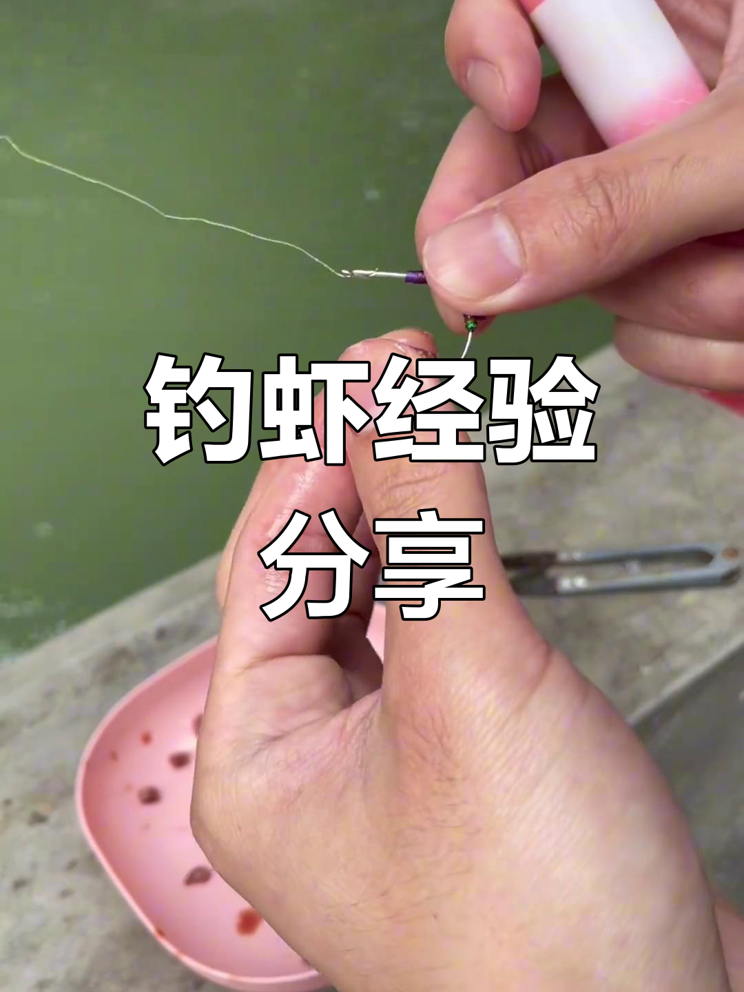 分享钓虾小技巧,欢迎指正!