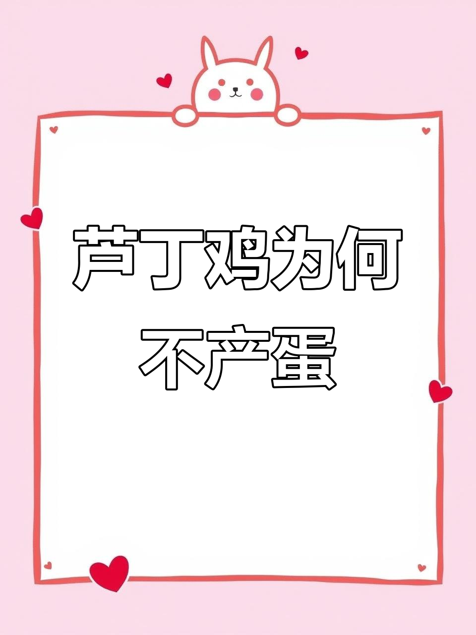 芦丁鸡不下蛋的原因分析,如何解决环境、温度和营养问题