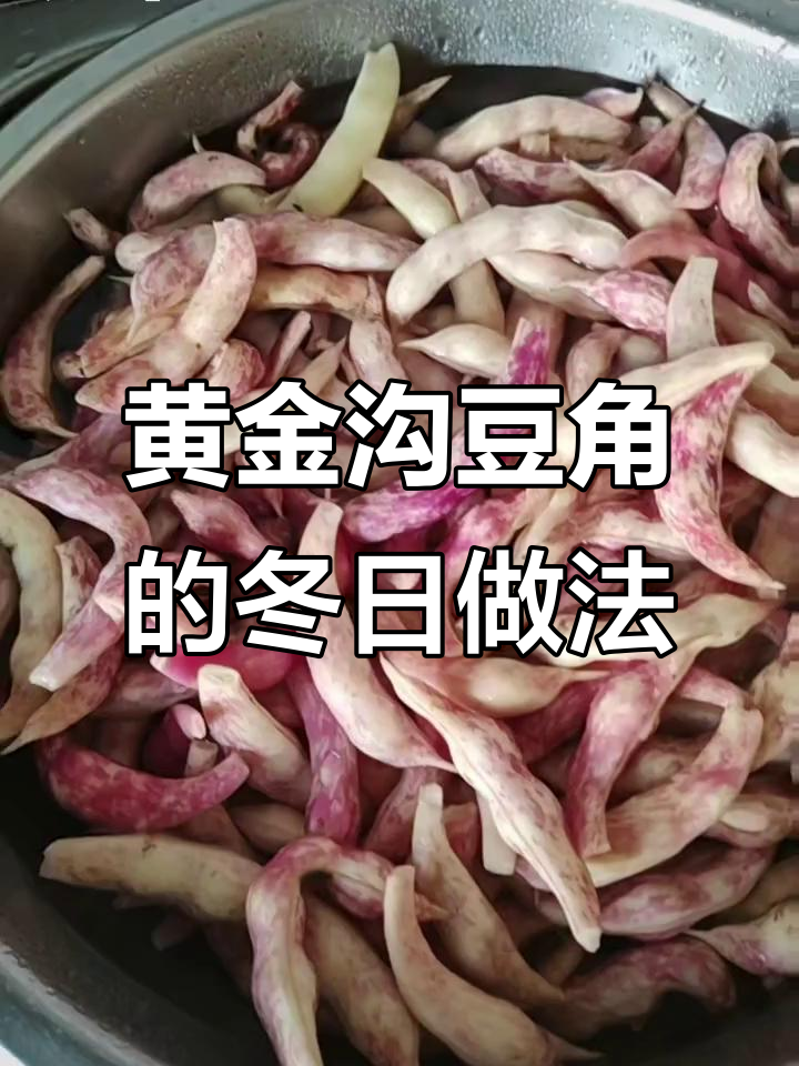 冬季必备!东北黄金沟豆角,轻松保存不冻坏