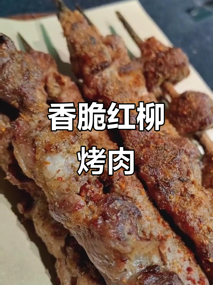 红柳枝烤羊肉串,香气扑鼻,外焦里嫩!