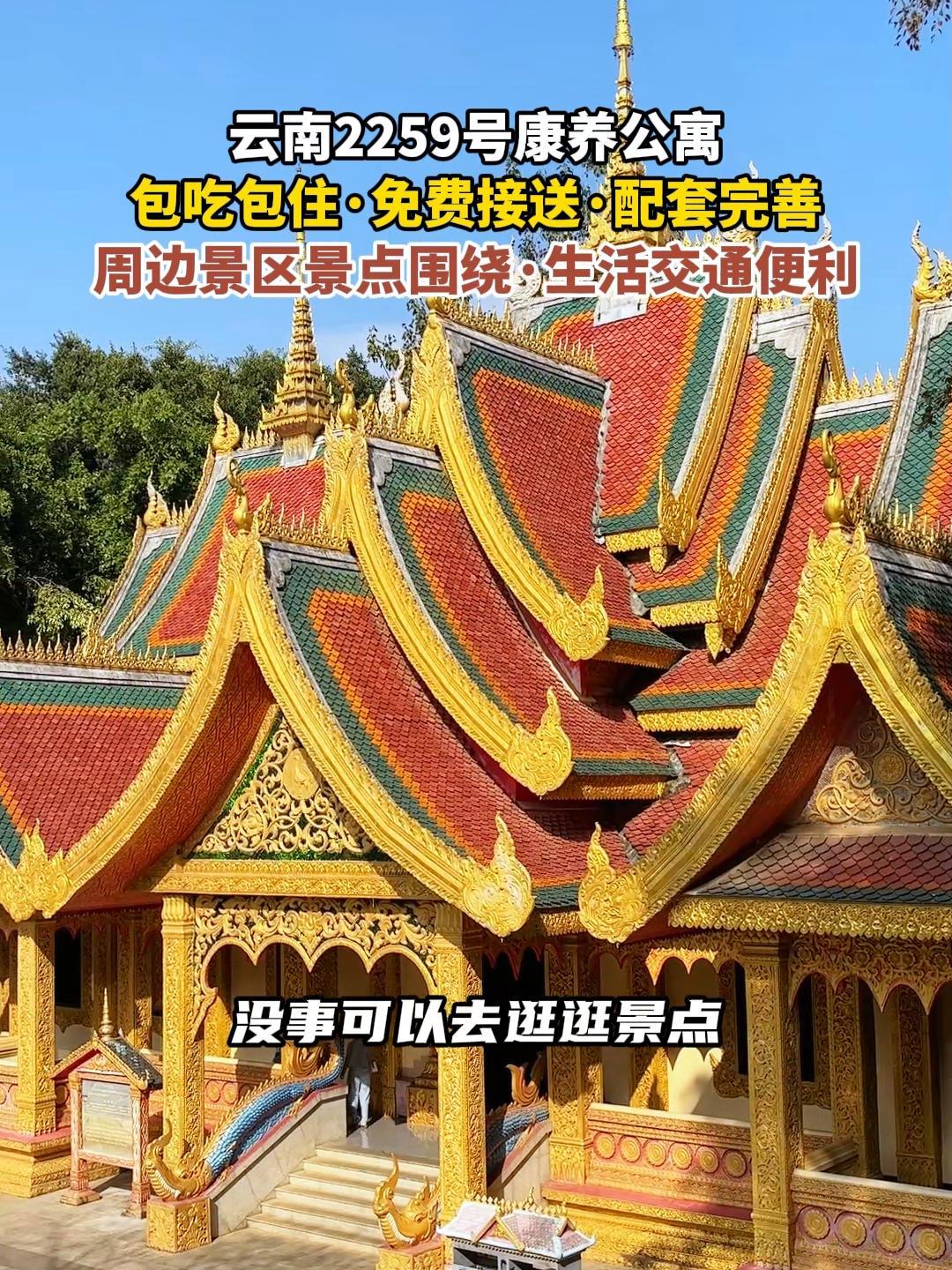 这是我在版纳找到的一个包三餐的康养酒店!康养圣地 旅居生活 旅居养老度假 西双版纳