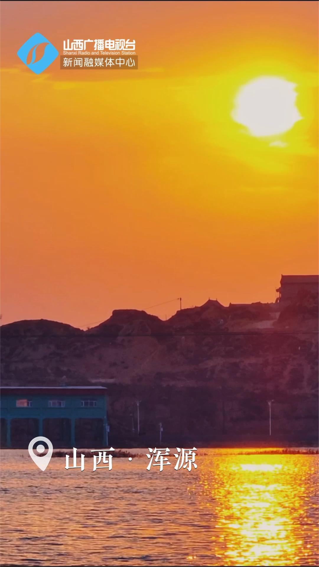 山西·浑源:每一帧都不舍得错过,夕阳下的天鹅美不可言