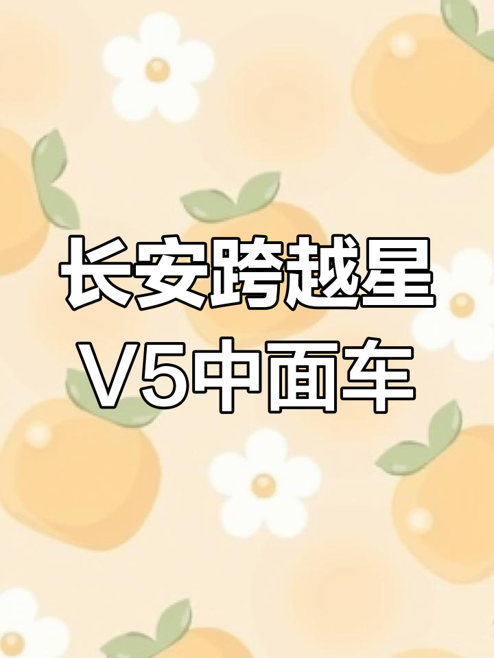 21年长安跨越星V5货运版,配置齐全,成色良好