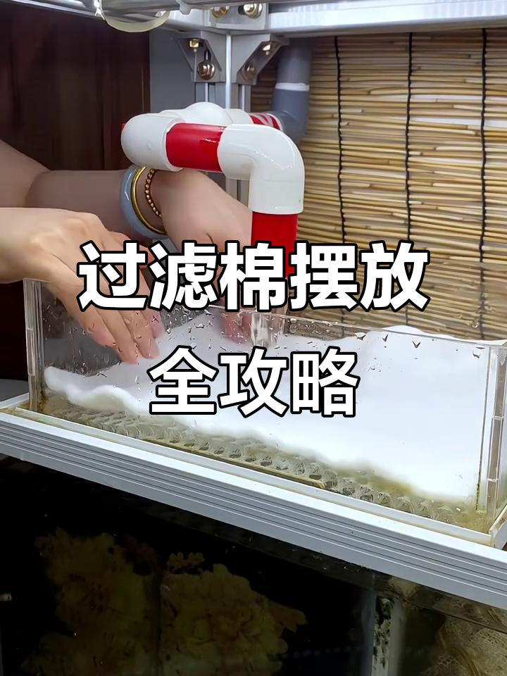 干湿分离盒过滤棉搭配技巧，轻松搞定鱼缸水质