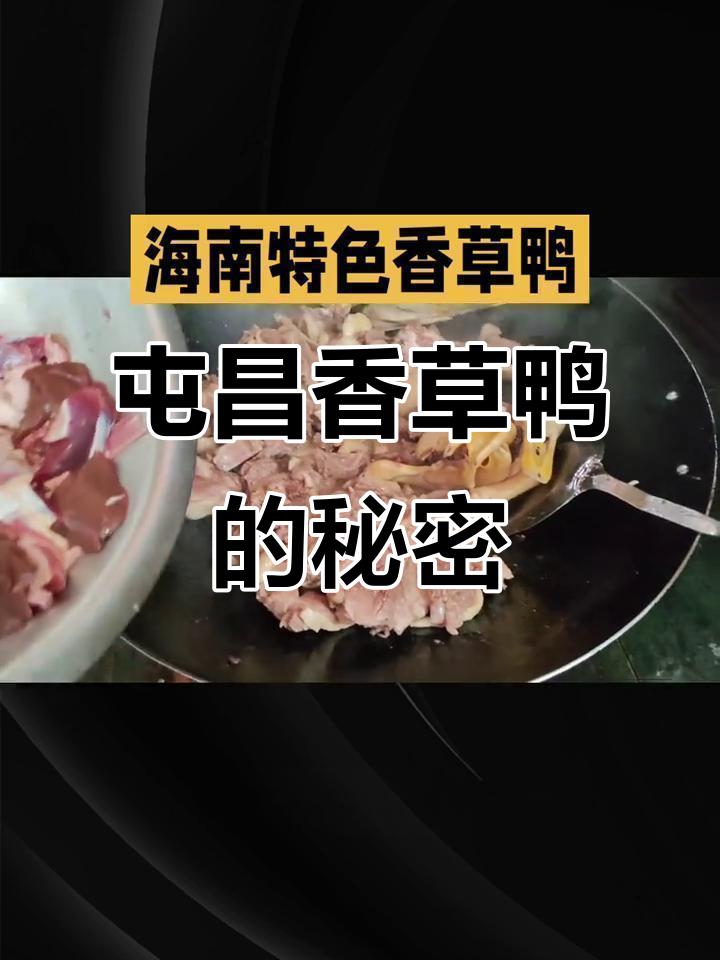 海南屯昌香草鸭：独特养殖方式与美味传承