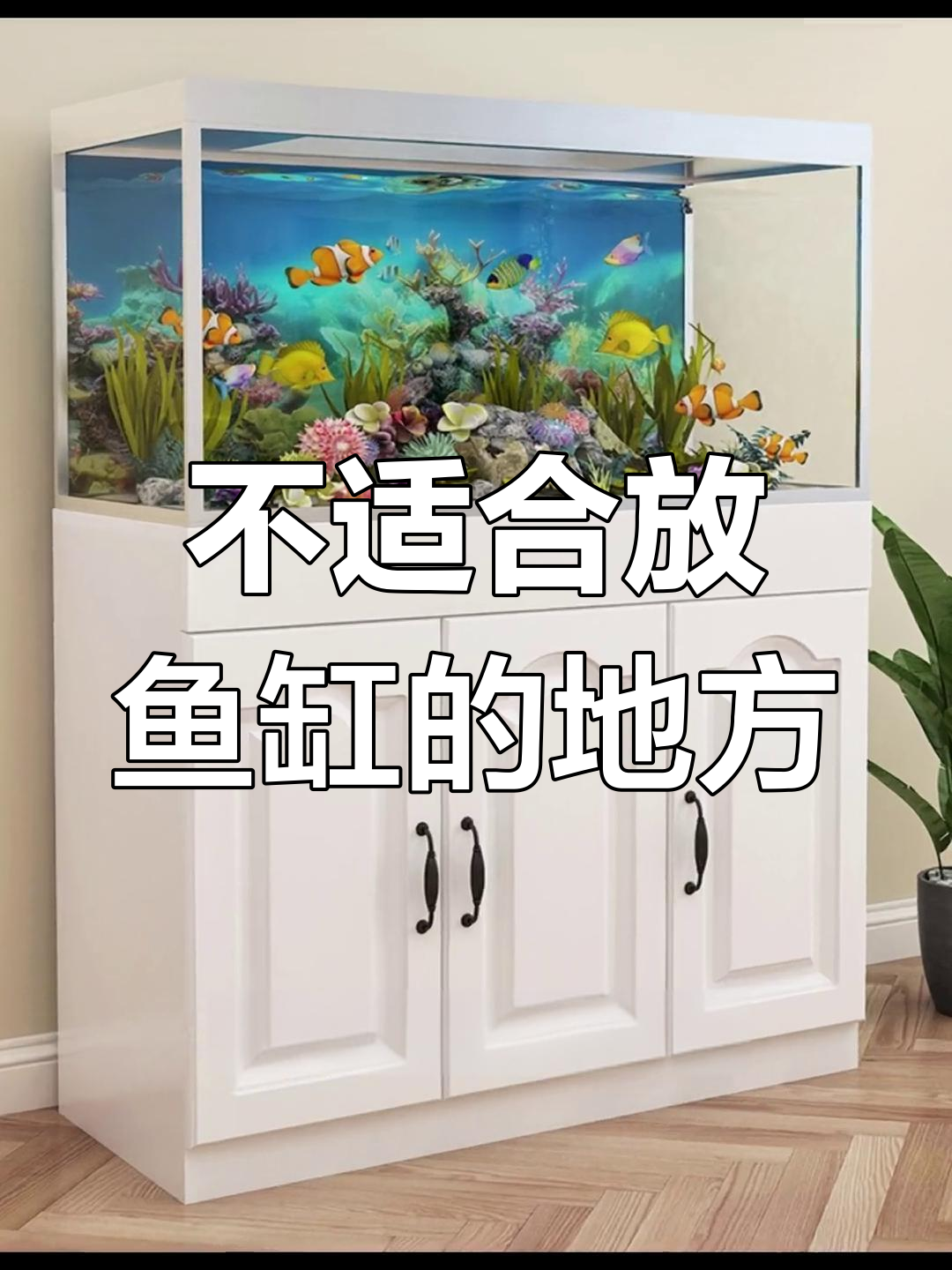 鱼缸摆放的四大禁忌,避免这些位置