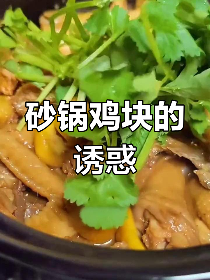 砂锅鸡块,香气扑鼻,肉质鲜嫩,汤汁浓郁,回味无穷!