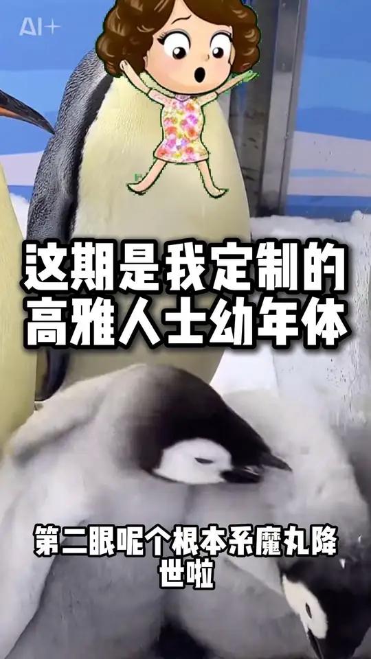 这期是我定制的高雅人士幼年体!来来来,速速品鉴此限定高雅人士幼年体!高雅人士 帝企鹅