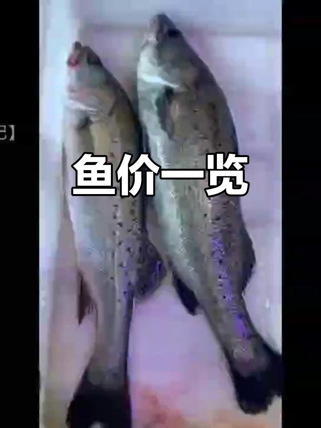 20种常见鱼类价格大揭秘,你能认出几种?