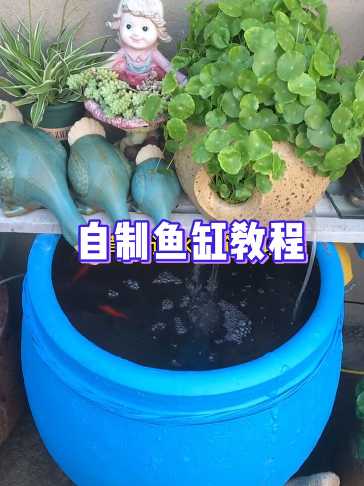 自制鱼缸教程哦!