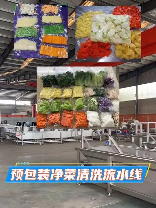 预包装净菜清洗流水线