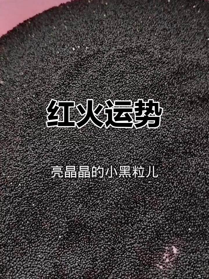 鸡冠花盛开,红火喜庆,好运连连