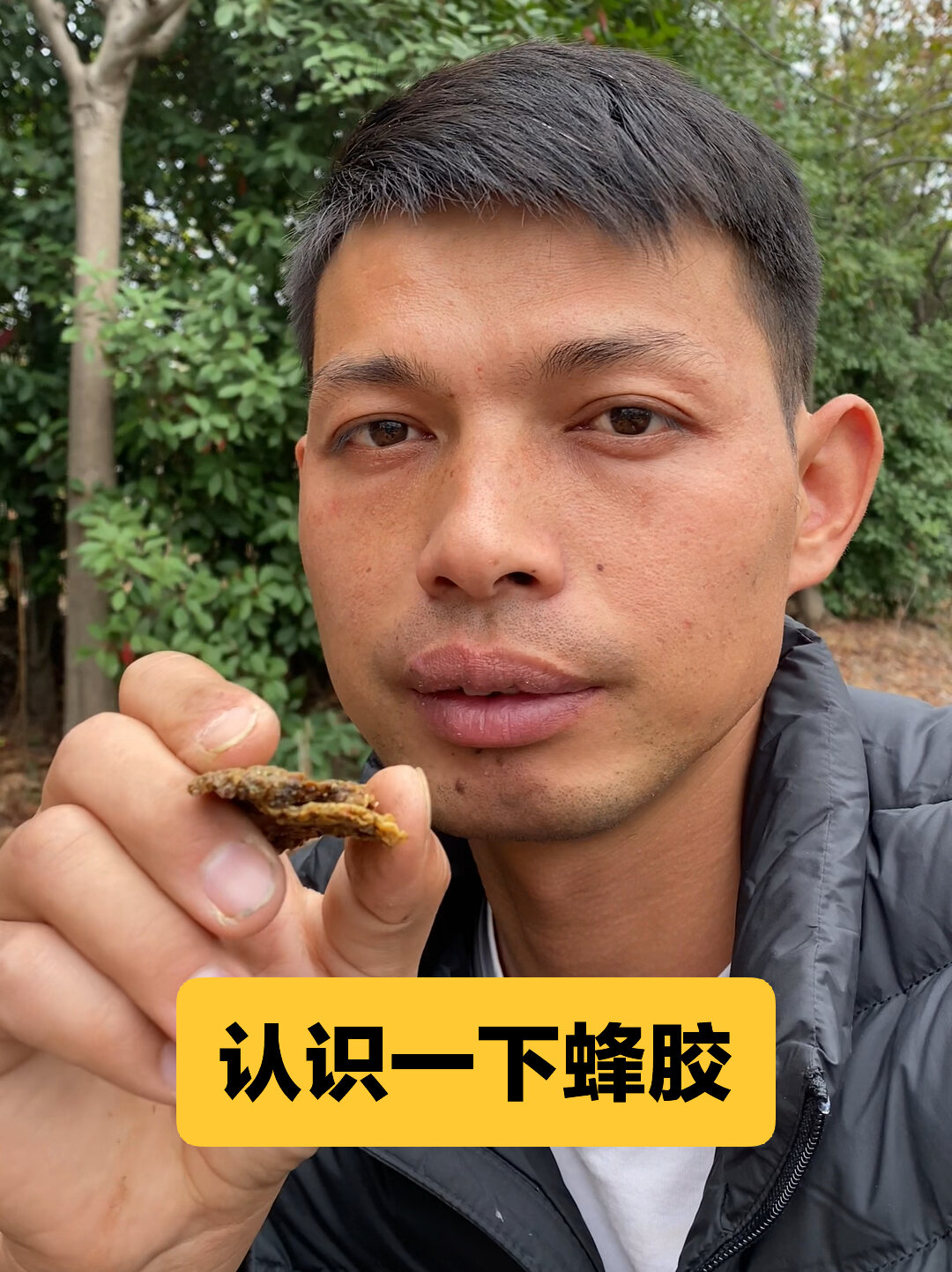 简单的认识一下蜂胶～