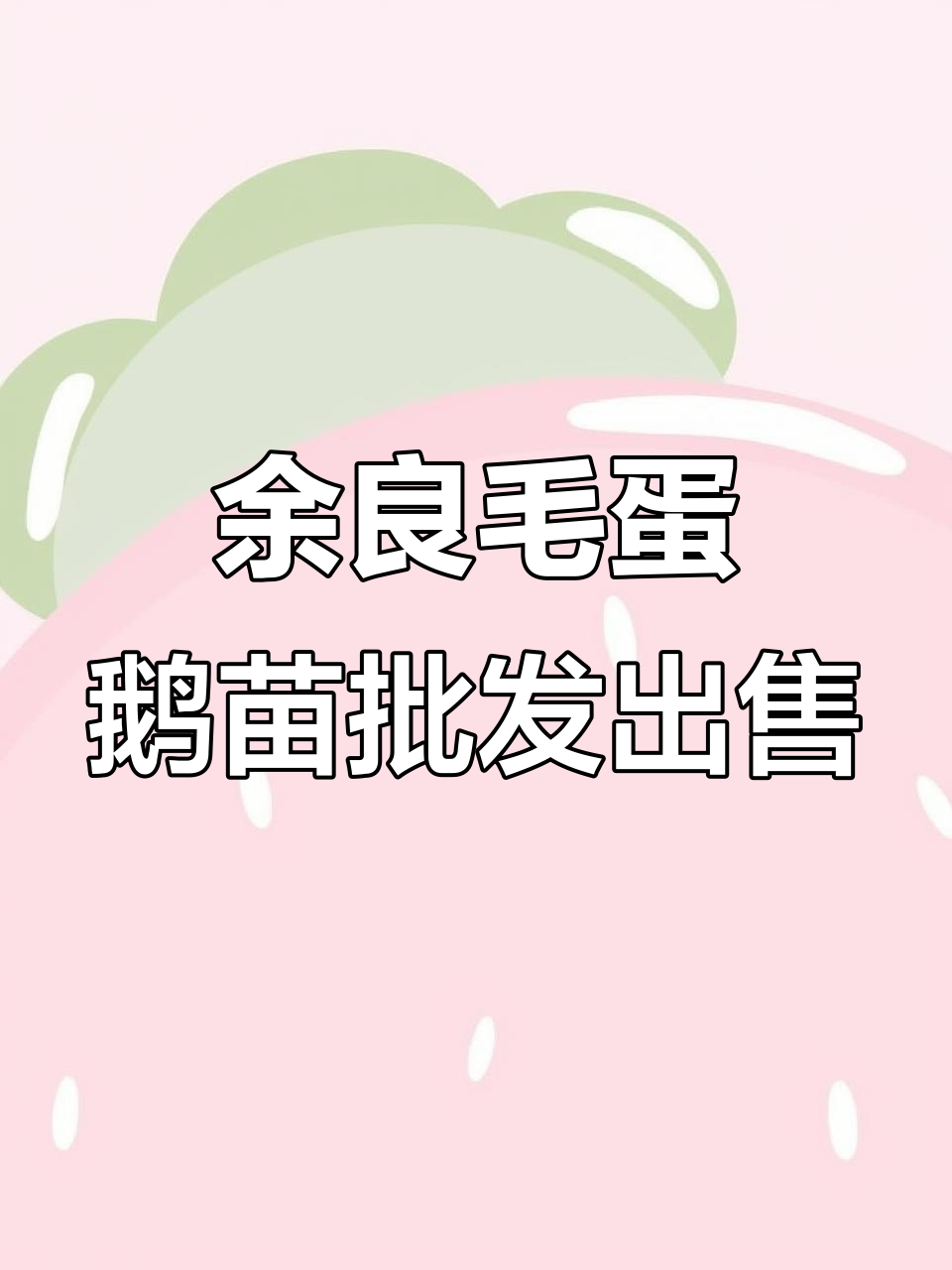 沂南大庄镇余粮村鹅苗鸭苗批发零售,快来选购!