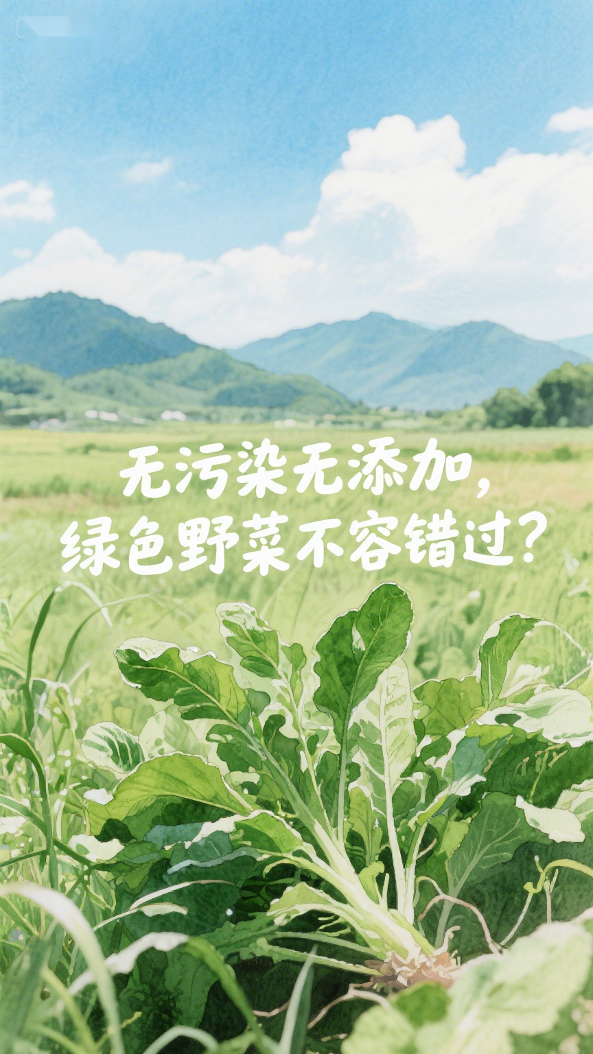 无污染无添加，绿色野菜不容错过？