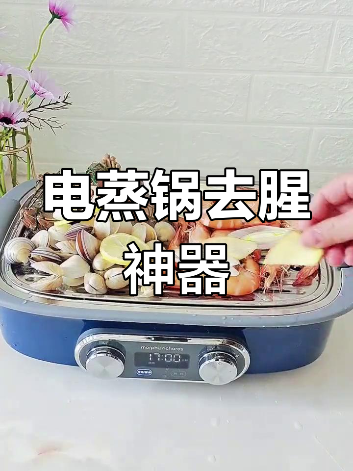 摩飞电蒸锅快速蒸汽清洗,去腥效果显著