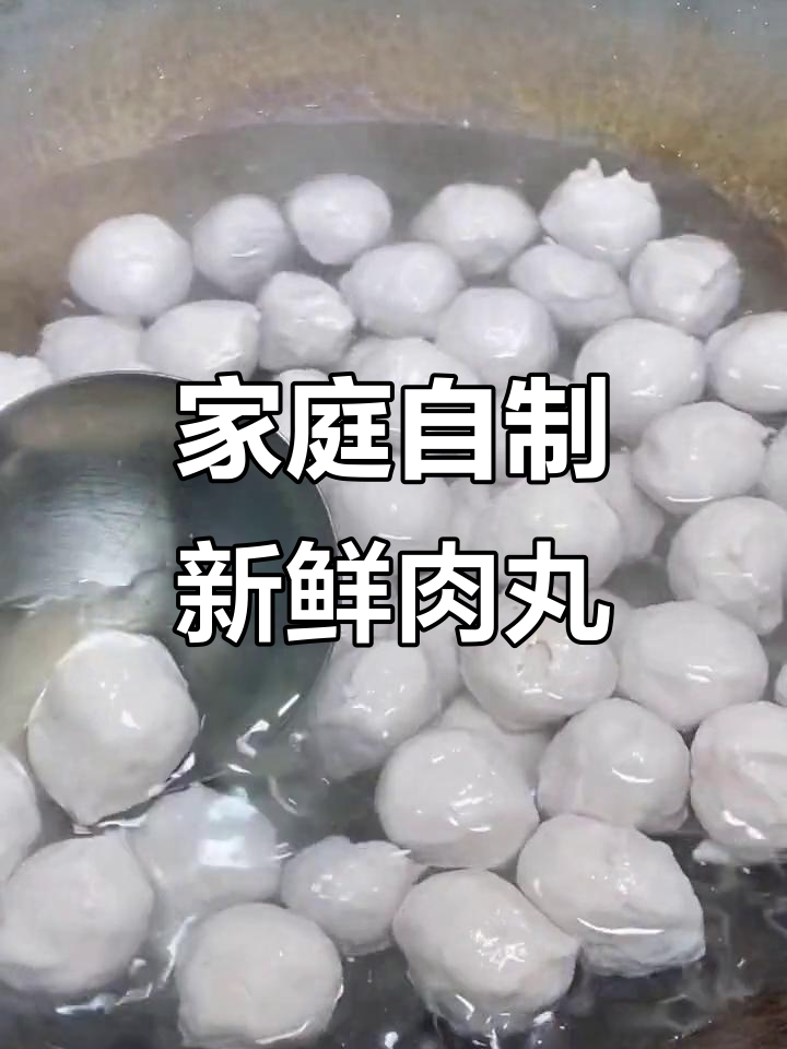 自制健康肉丸,火锅、面条都能轻松搞定