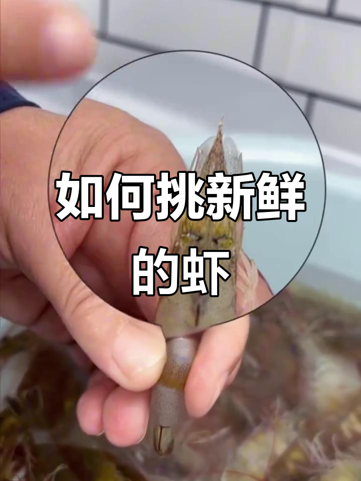 选虾必看!新鲜与变质的区别,教你如何挑选优质大虾